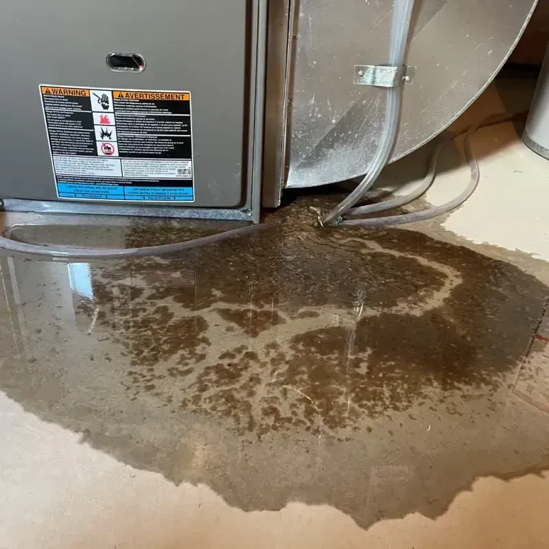 Appliance Leak Cleanup in Gorham, ME